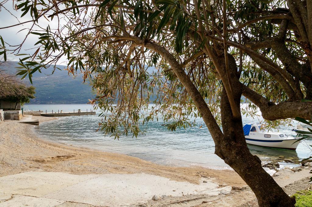 Apartment Begonia Of Kumbor تْشيرسيك نوفي المظهر الخارجي الصورة